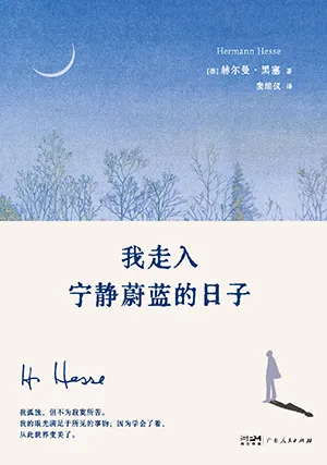 《我走入寧靜蔚藍的日子》封麵