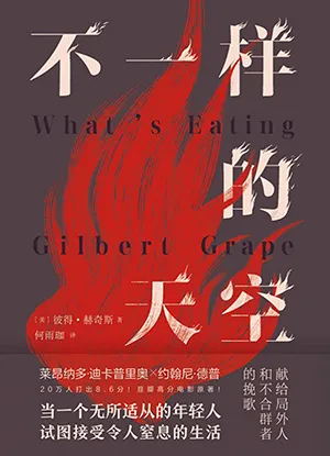 《不一樣的天空》封麵