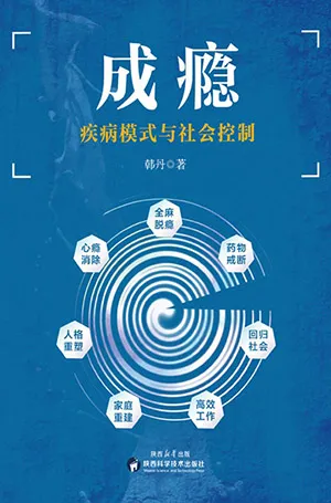 《成癮:疾病模式與社會控製》封麵