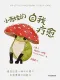 小青蛙的自我療愈