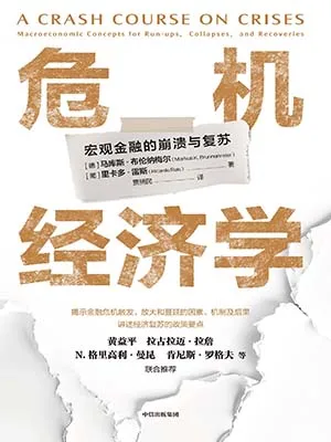 《危機經濟學：宏觀金融的崩潰與複蘇》封麵