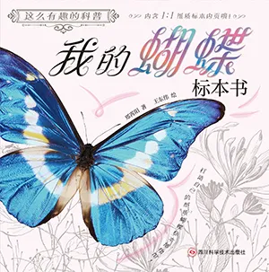 《這麼有趣的科普我的蝴蝶標本書》封麵