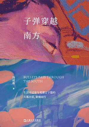 《子彈穿越南方》封麵